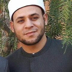 abdelbadee mostafa