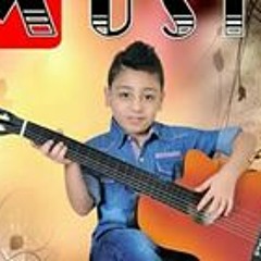 امير الجمل