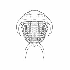 Trilobite