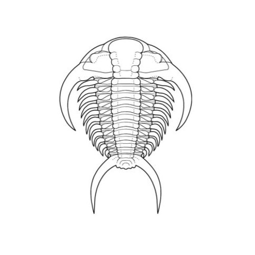 Trilobite’s avatar