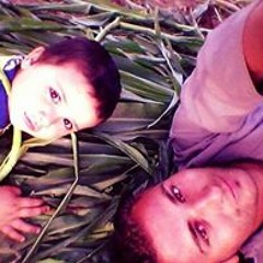 عبدالودود محمود