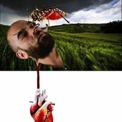 enanomalhecho