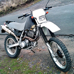 TT600Thorsten