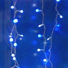 橘 木竜(Kiryuu Tachibana)