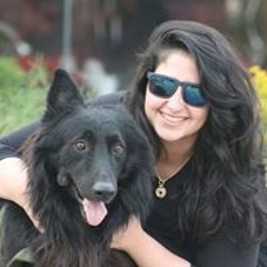 Noura AL-atrees