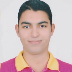 mohammed elnaggar 6