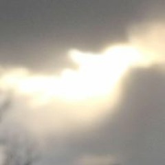 Jacob Charles Silvia