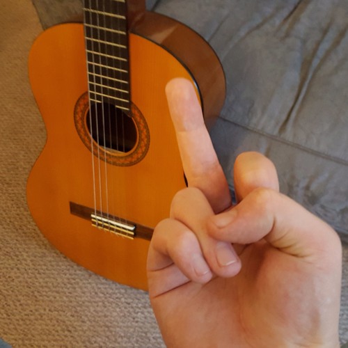 JustSomeGuitarCovers’s avatar