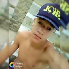 Mts Machado Pjl