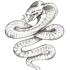 NWG Cobra