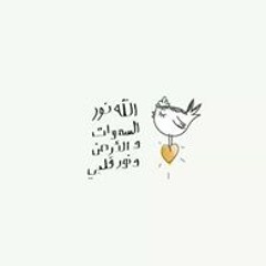 Haidy M. Emara