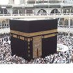 محبة القران