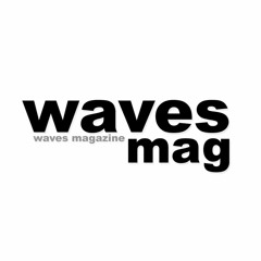 wavesMAG