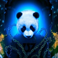 DarkPanda Studios 2