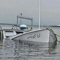 Hassan Elganainy