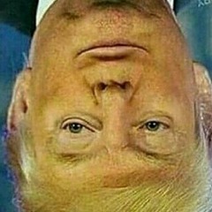 Stupid and Funny
