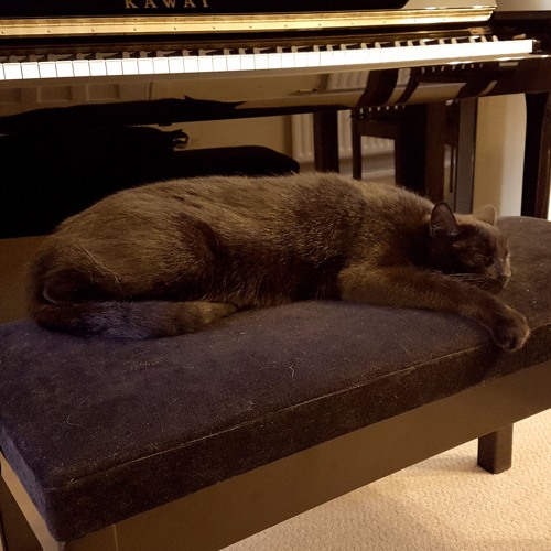 Bach, Goldberg Variations BWV 988, Variatio 5