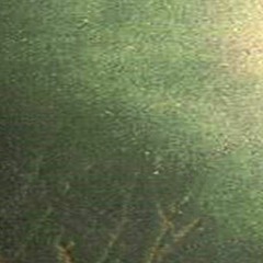 TheHashSlangingSlasher