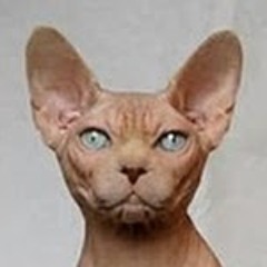 이선재