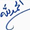 Mohamed Gamal Darwish