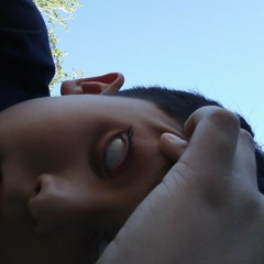 Sophia The Observer