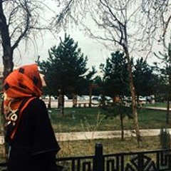 Şule Gül