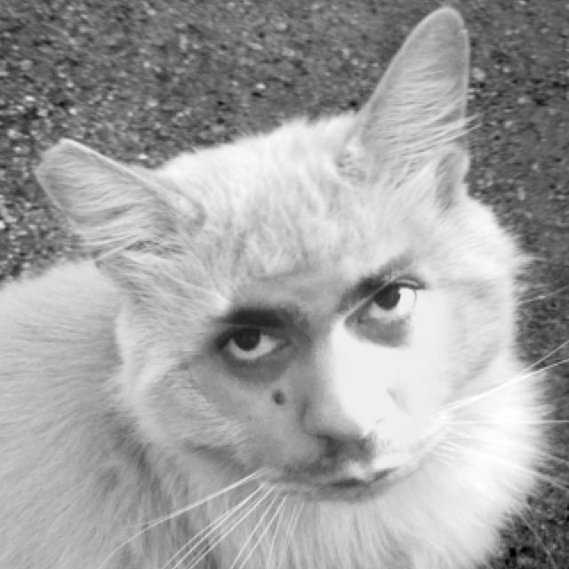 Dead Spaghetti cover art