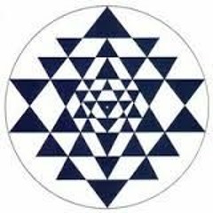 mettapi-x