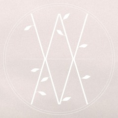 Wonder. Music