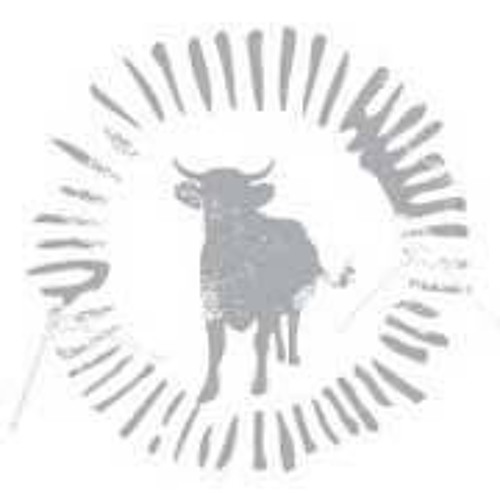 Bull & Prairie’s avatar