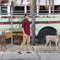 BrianBreach1