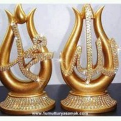 محمد حبيب عمري