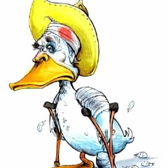 Lame DUCK