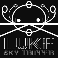 LUKE_SKY_TRIPPER