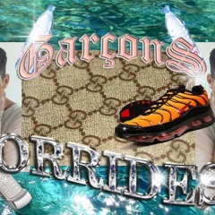 Garçons Torrides