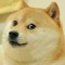 DogeEmpire9000