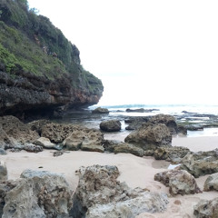 Andri Sas