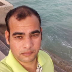 alaa ahmed