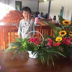 Đăng Phong Hà Anh