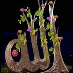 Ebrahimawed Eltabeb