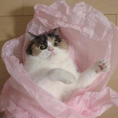 catbib