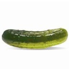 Picklecrafter04 pickles