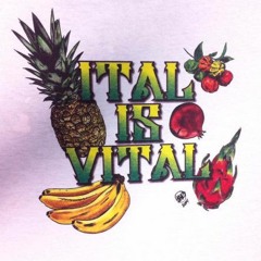 Vægaënic Vibez
