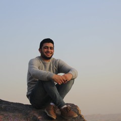Mostafa Elmalek