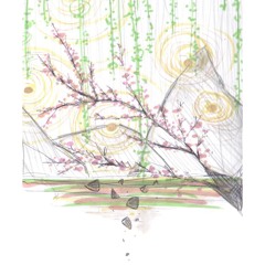 anemone.paint