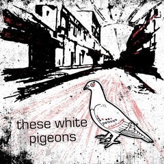 These White Pigeons