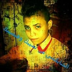 سيد الشابكشى