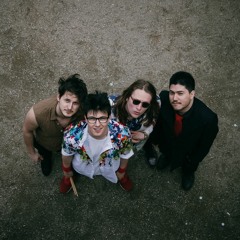 Save Love And Peace - SLAP