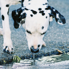 Pip O'Keeffe