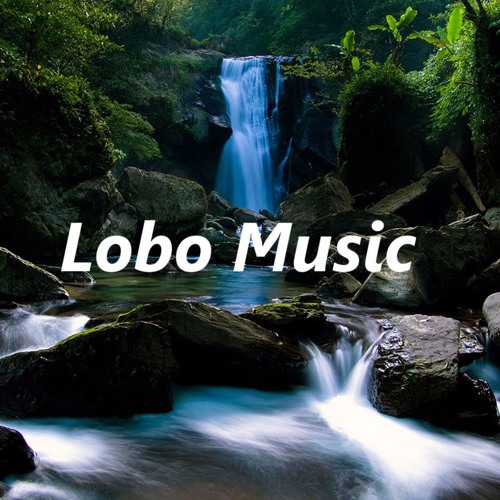 Lobo Music’s avatar